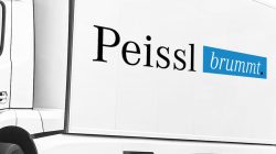 mercedes-peissl-brummt-logo